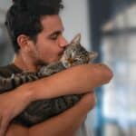 ¡Tu gato NO tiene nueve vidas (y puede afectar la salud de tu hogar)!