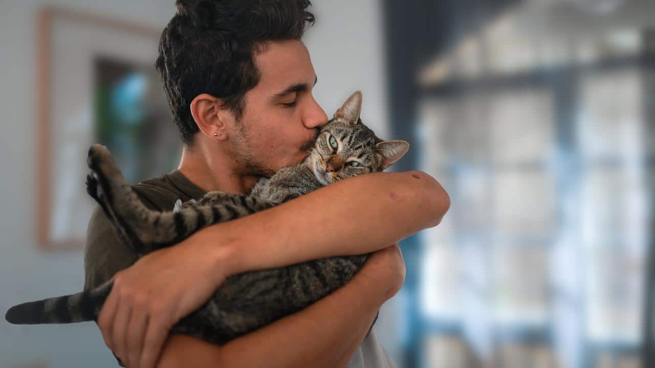 ¡Tu gato NO tiene nueve vidas (y puede afectar la salud de tu hogar)!