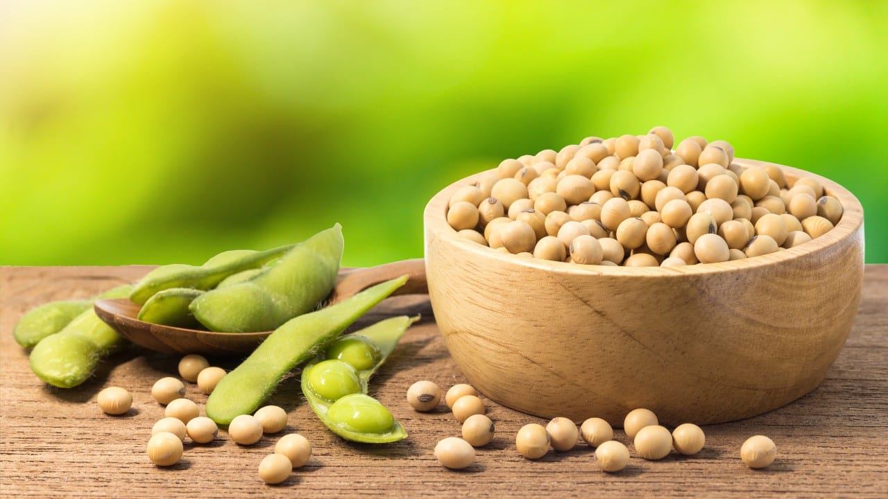 soya y menopausia