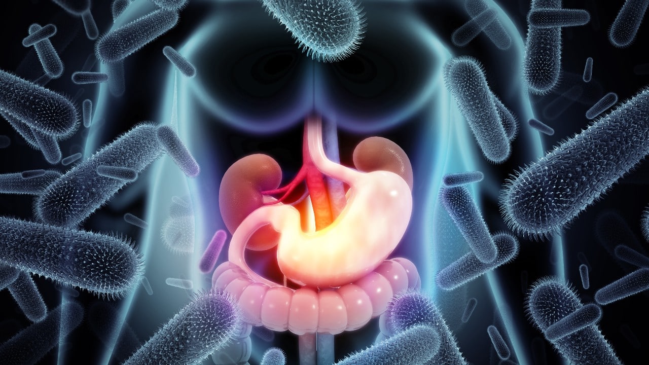 bacteria estomacal y la diabetes tipo 2