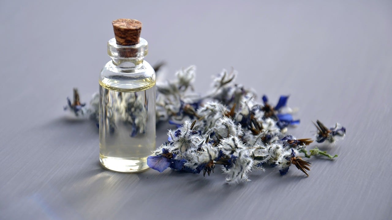 El aceite de borraja y el aceite de onagra: ¿ayudan a aliviar los síntomas del eczema?