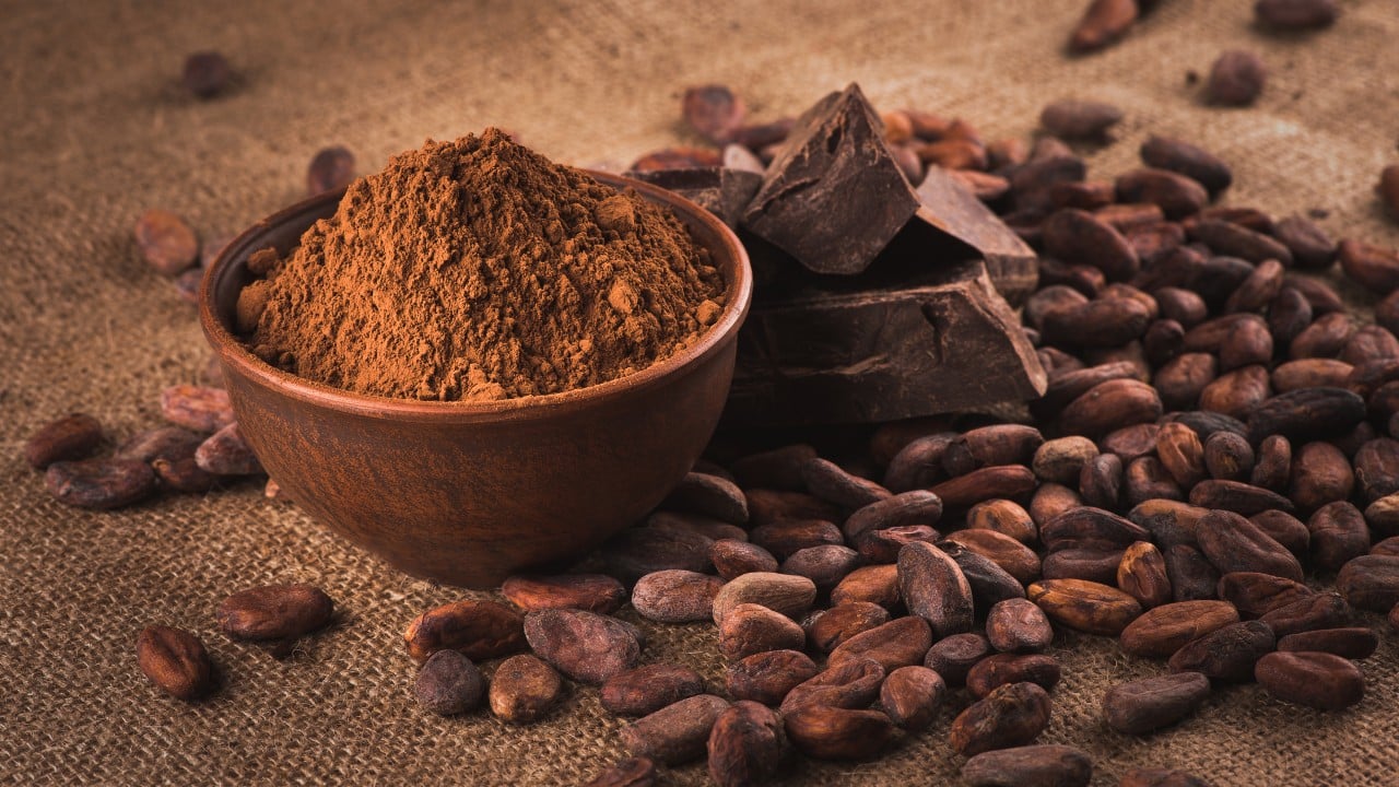 el cacao