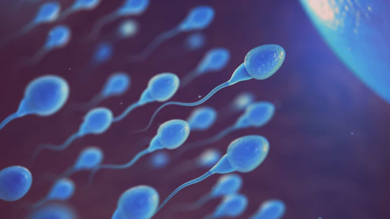 Nuevo estudio: Prometedora la anticoncepción masculina