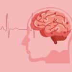 La diabetes podría reducir (hacer más chico) el cerebro