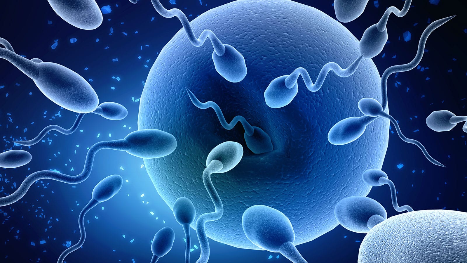 colesterol alto