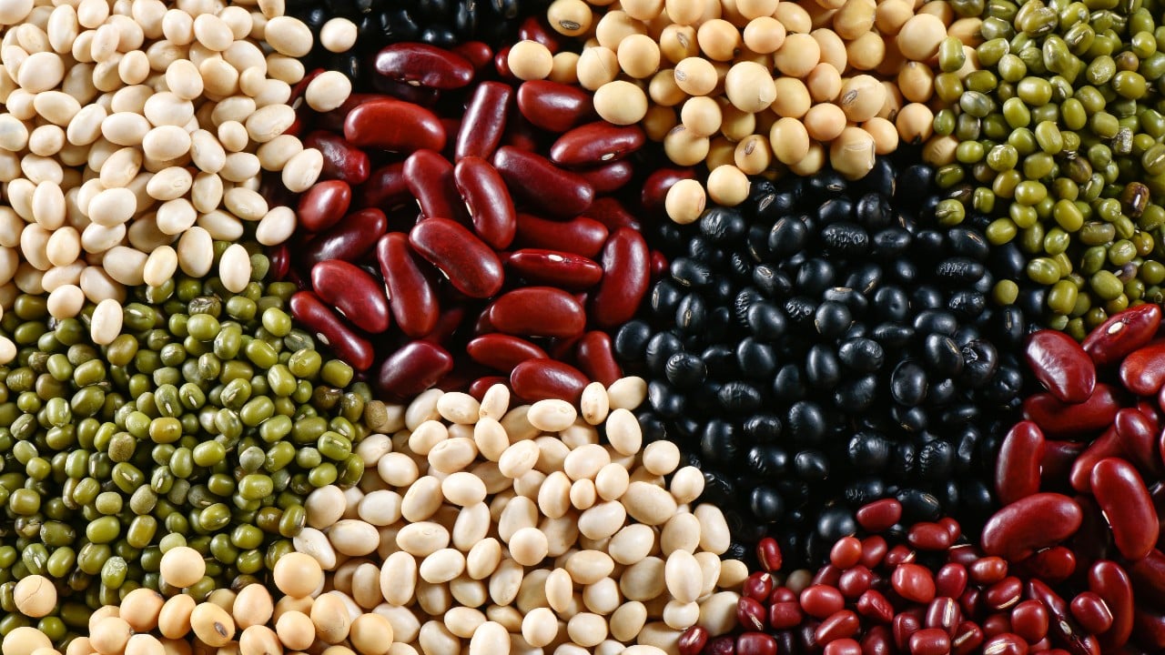 Fuentes alternativas de proteína