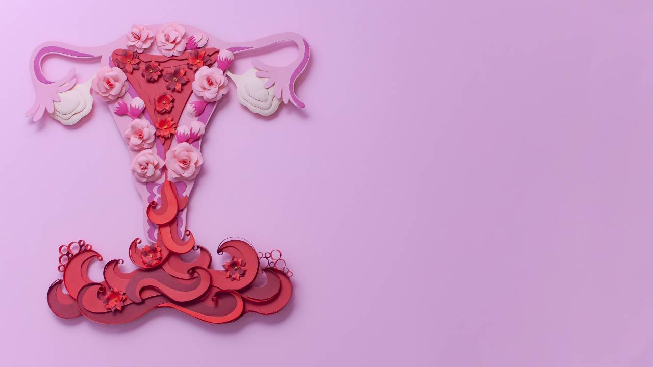 Sangrado Uterino Disfuncional