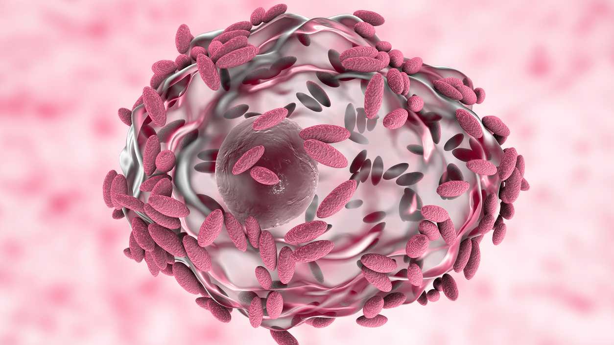 Vaginosis bacteriana