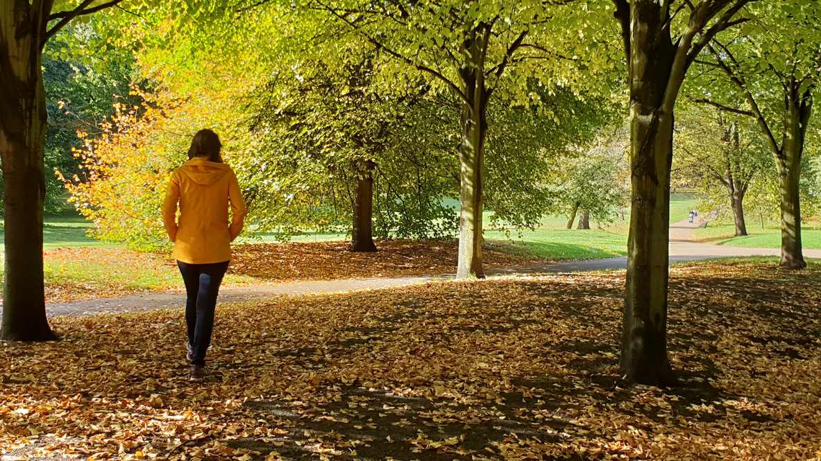 La caminata: un ejercicio para todos