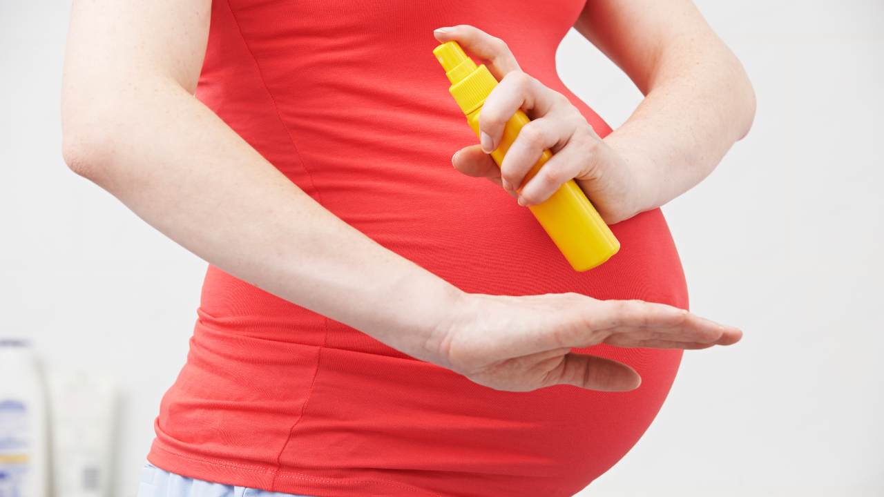 ¿Embarazada? Recomendaciones de la OMS para protegerte del virus del Zika