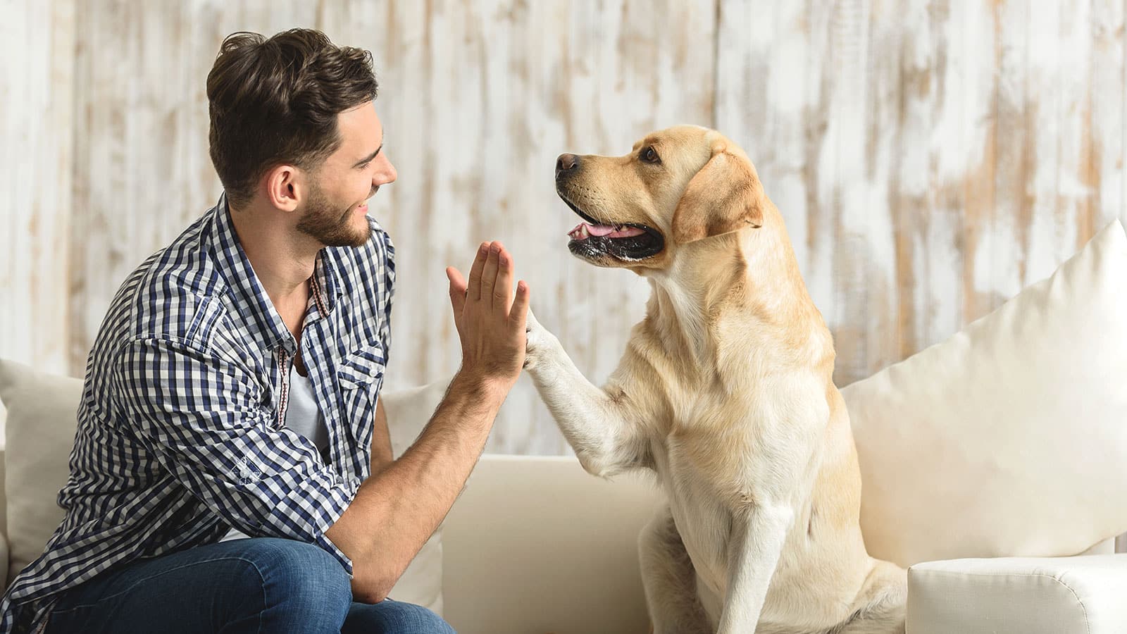 6 formas en que las mascotas son buenas para la salud