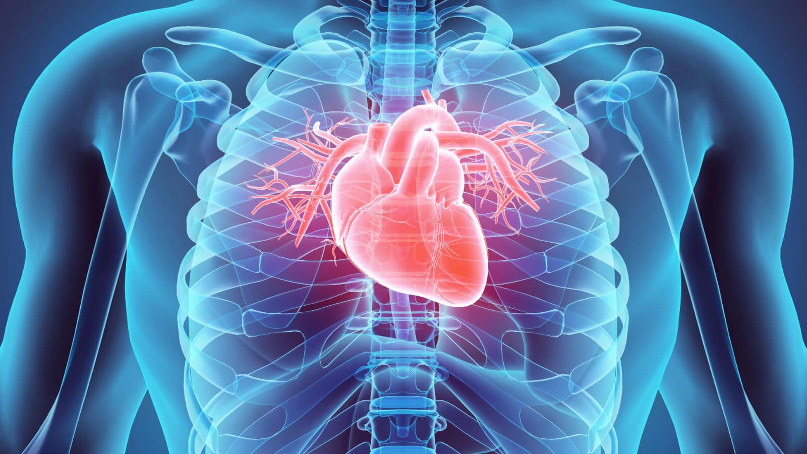 8 mitos sobre tu corazón