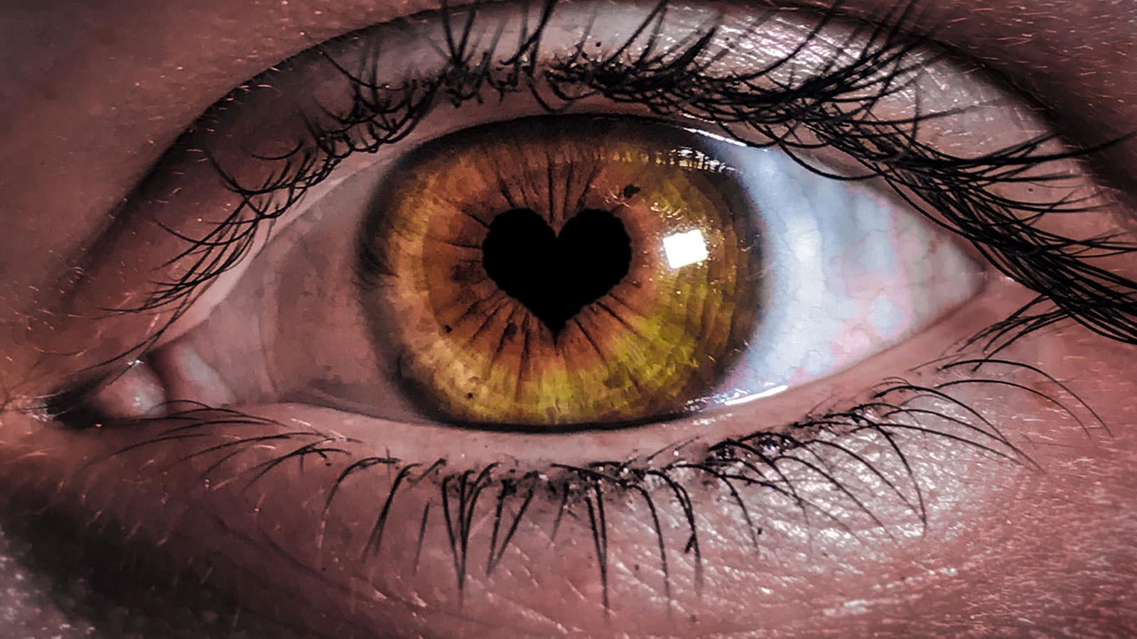 Iris-del-ojo-y-la-salud
