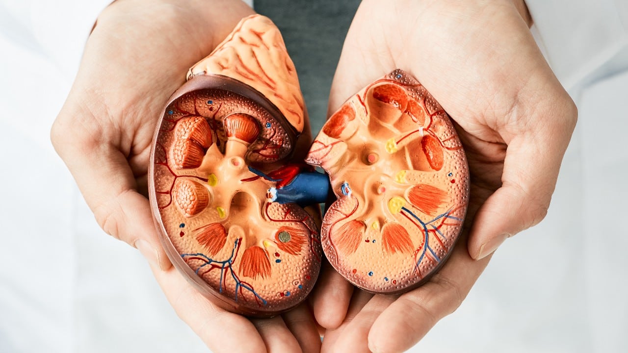 Actualmente 6 de cada 10 pacientes con cáncer de riñón se curan