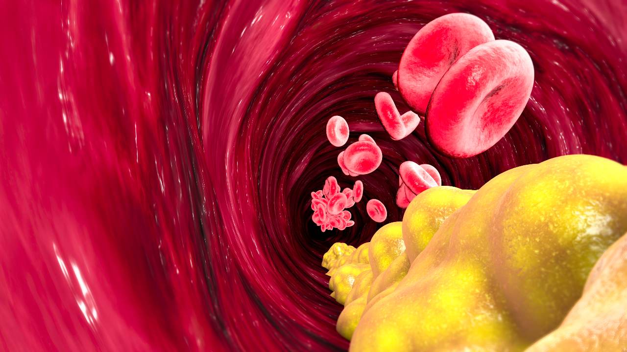 Colesterol LDL, cuando más bajo mejor