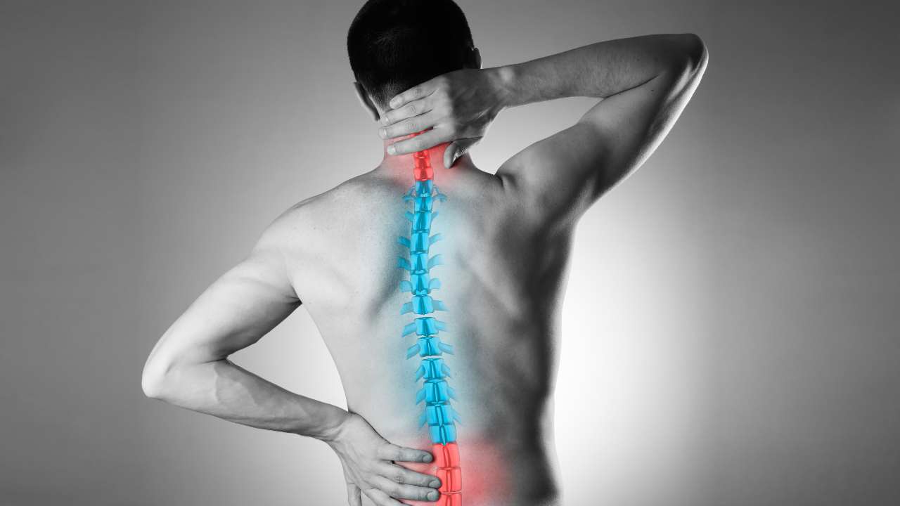 Cuida tu columna vertebral