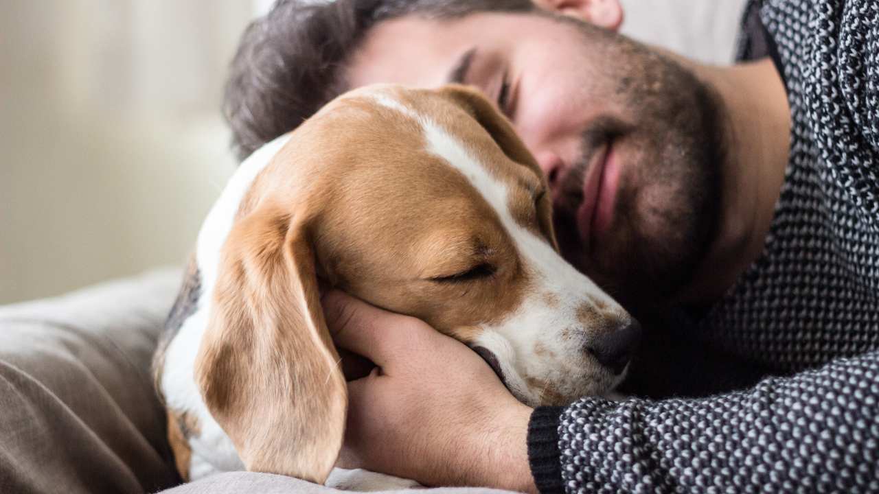 Tener un perro puede alargar tu vida