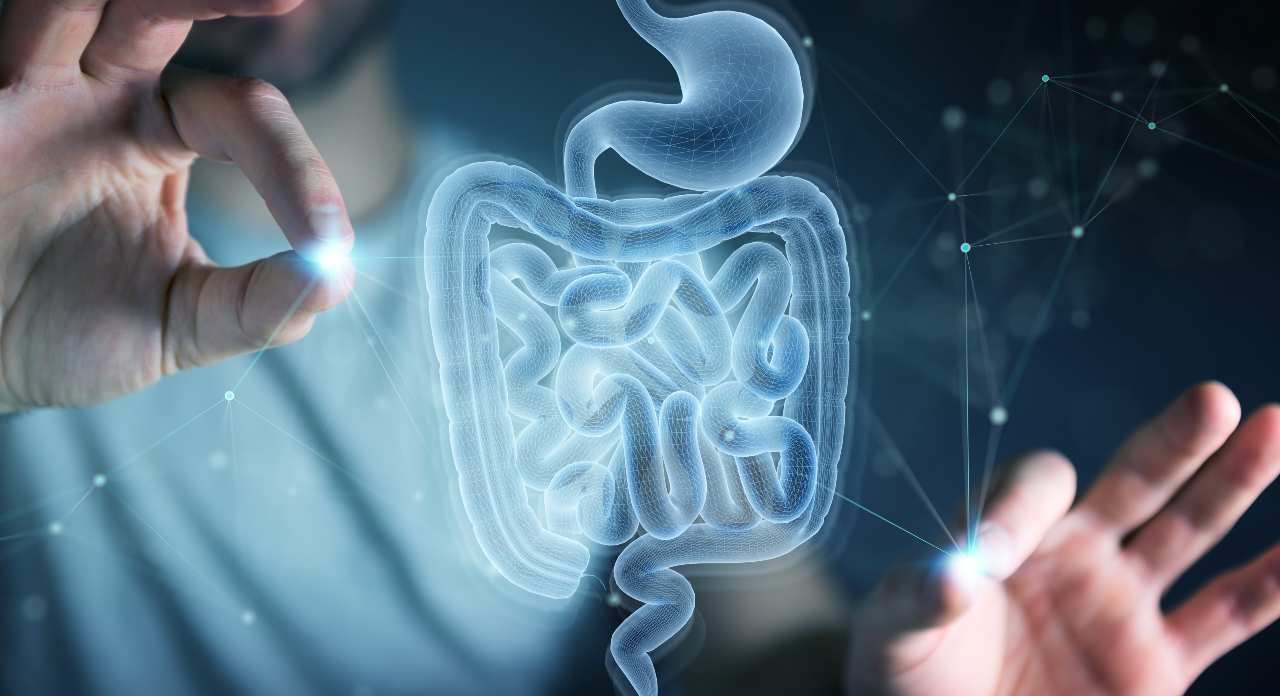 La microbiota: un mundo de microbios “buenos” que vive en nuestro cuerpo