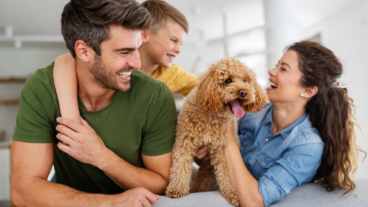 ¿Son buenas las mascotas para tu salud?