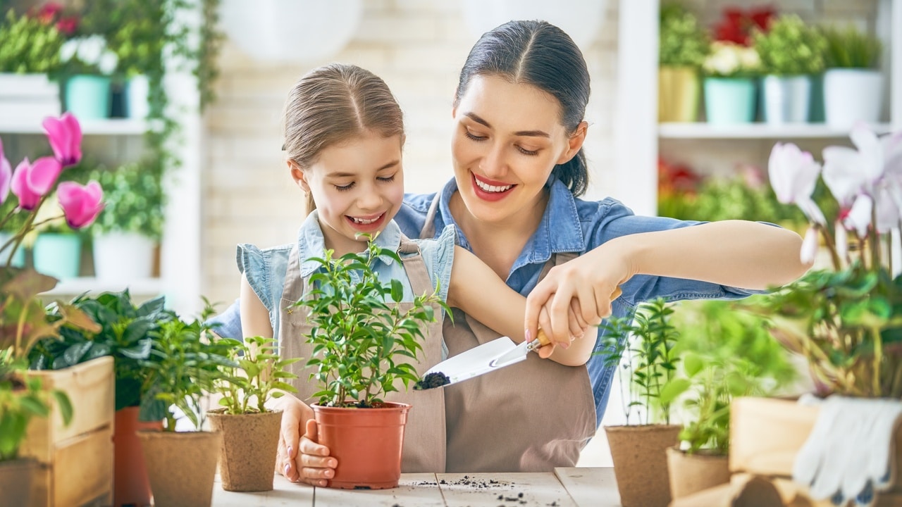 Si quieres complementar tu salud mental, considera tener plantas