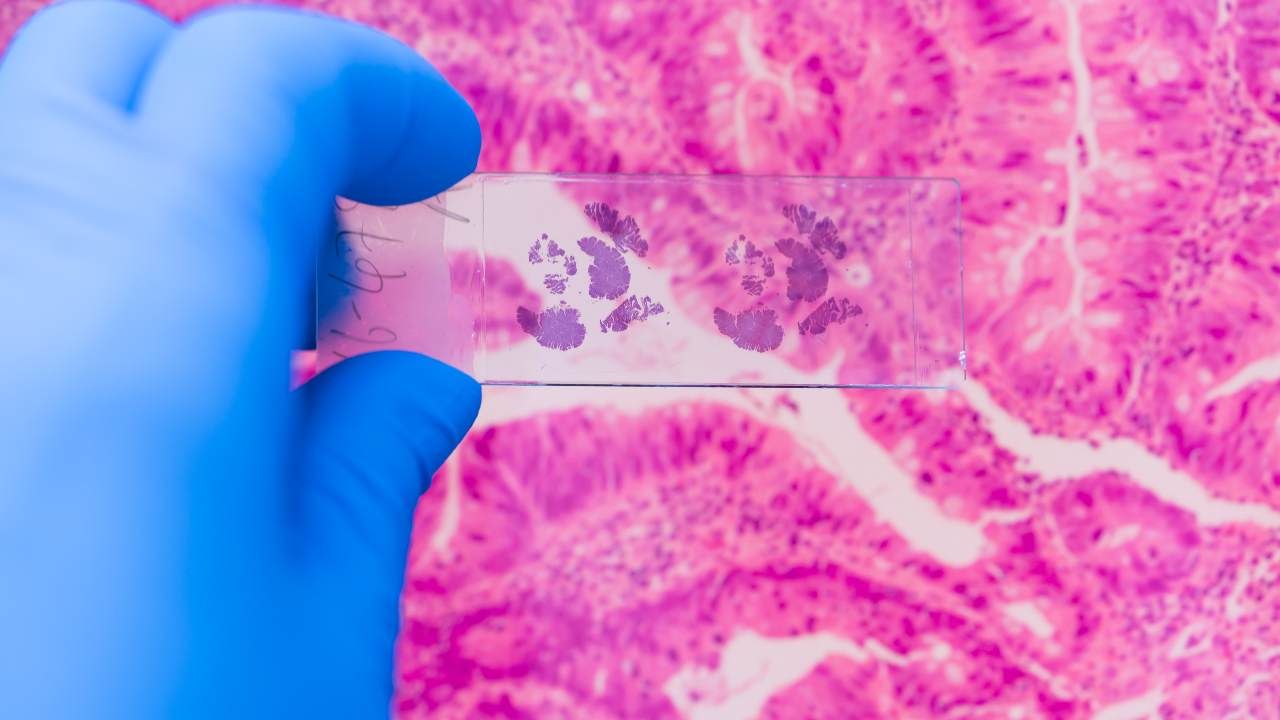 El estudio de los genes