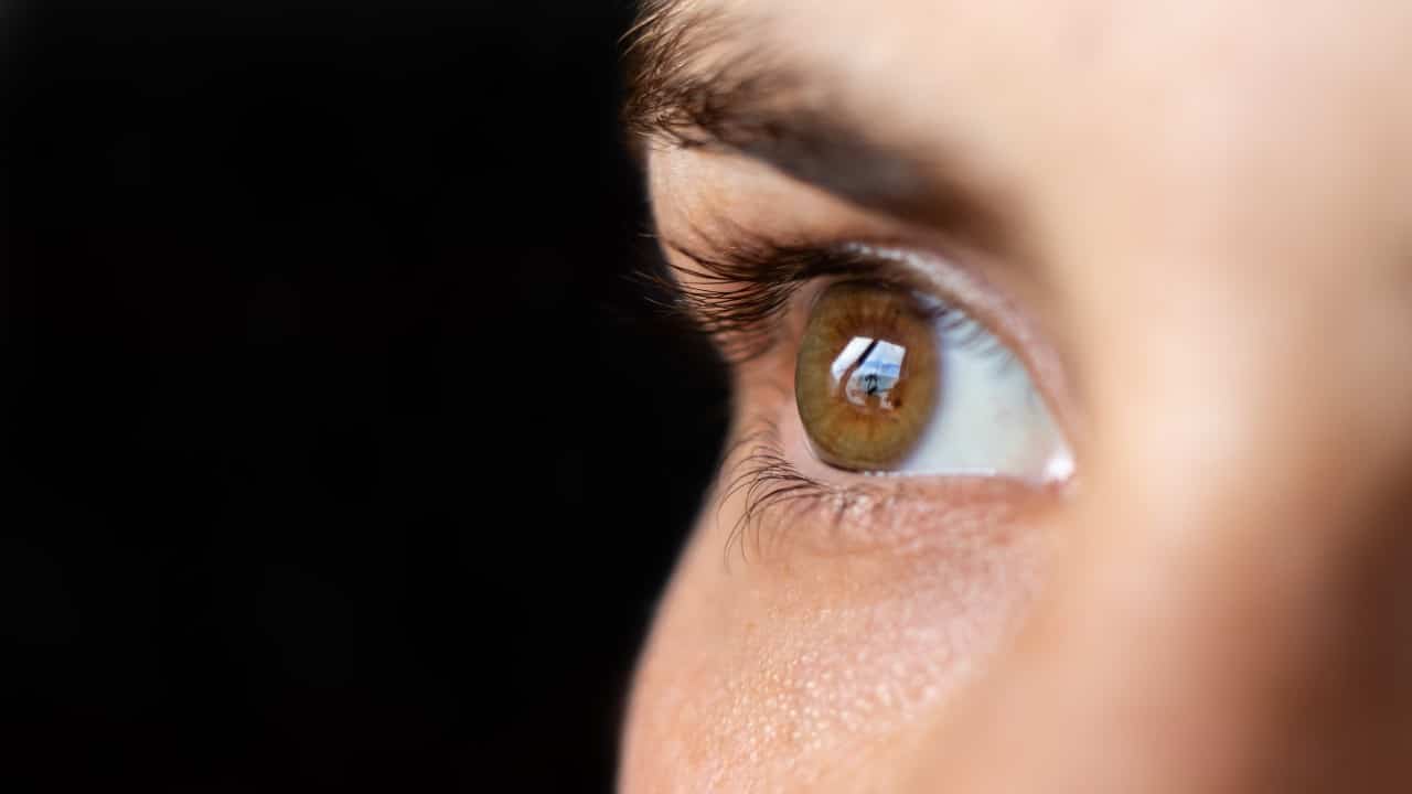 La esperanza de la edición genética para la distrofia de retina