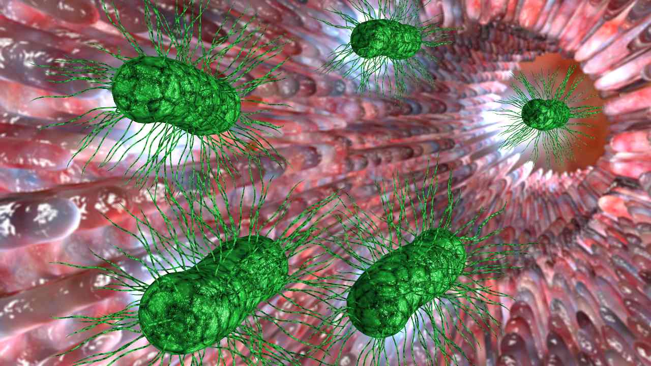 ¿Tienes malestar intestinal? Quizá es SIBO
