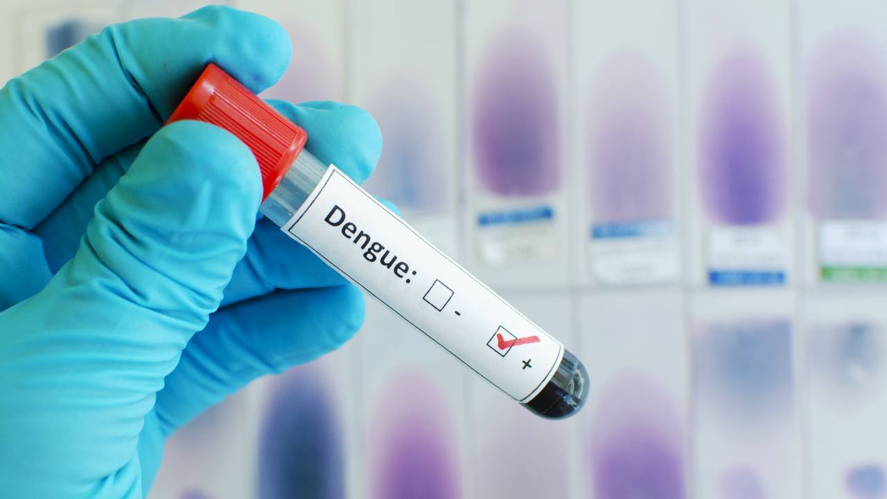 El dengue cobra fuerza en América Latina