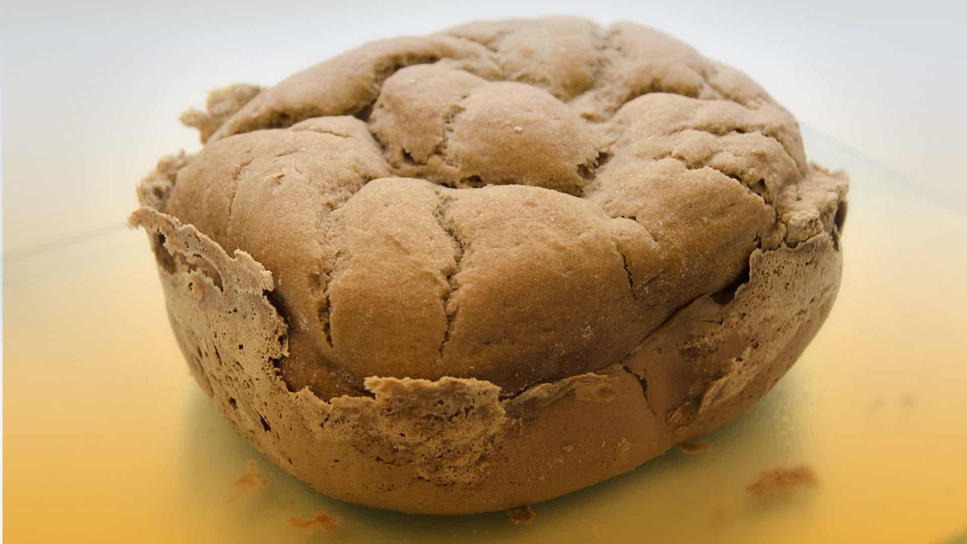 Lo que debes saber sobre las dietas libres de gluten