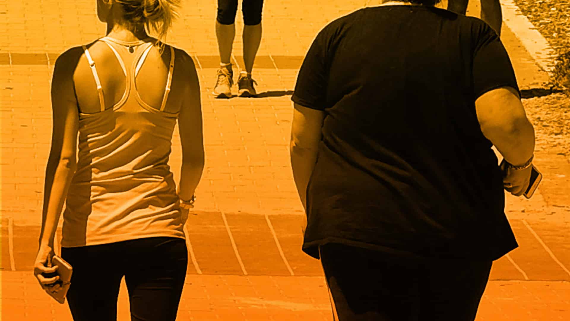 Diferencias entre obesidad y sobrepeso