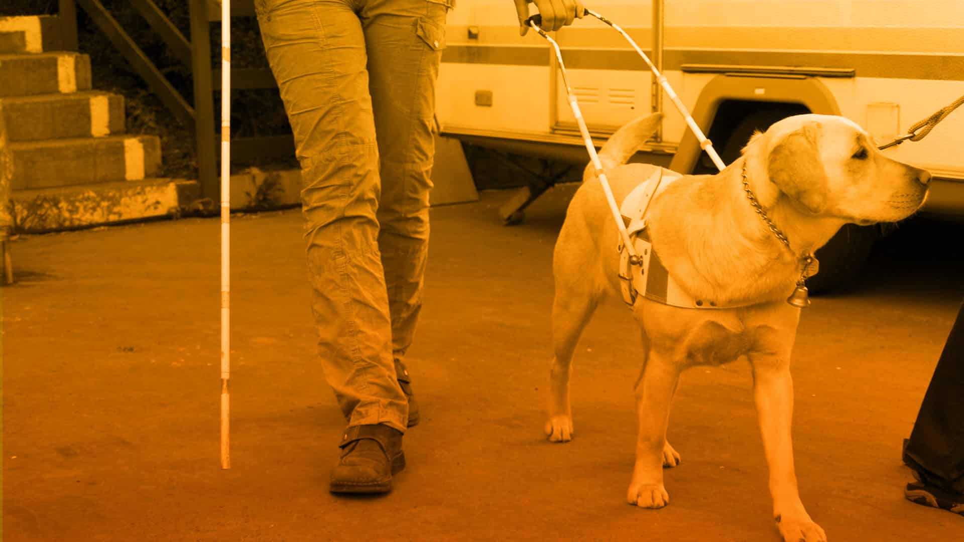 Binomios caninos
