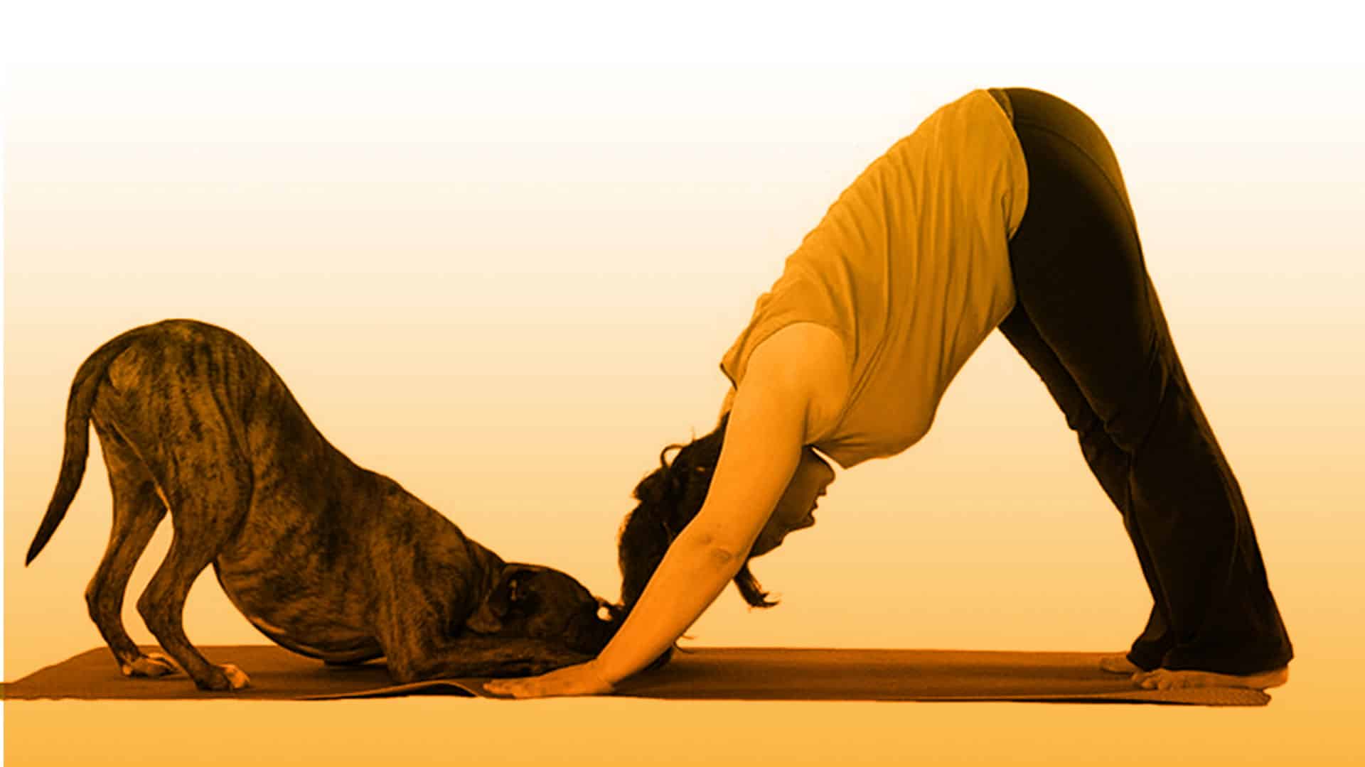 Yoga para embarazadas