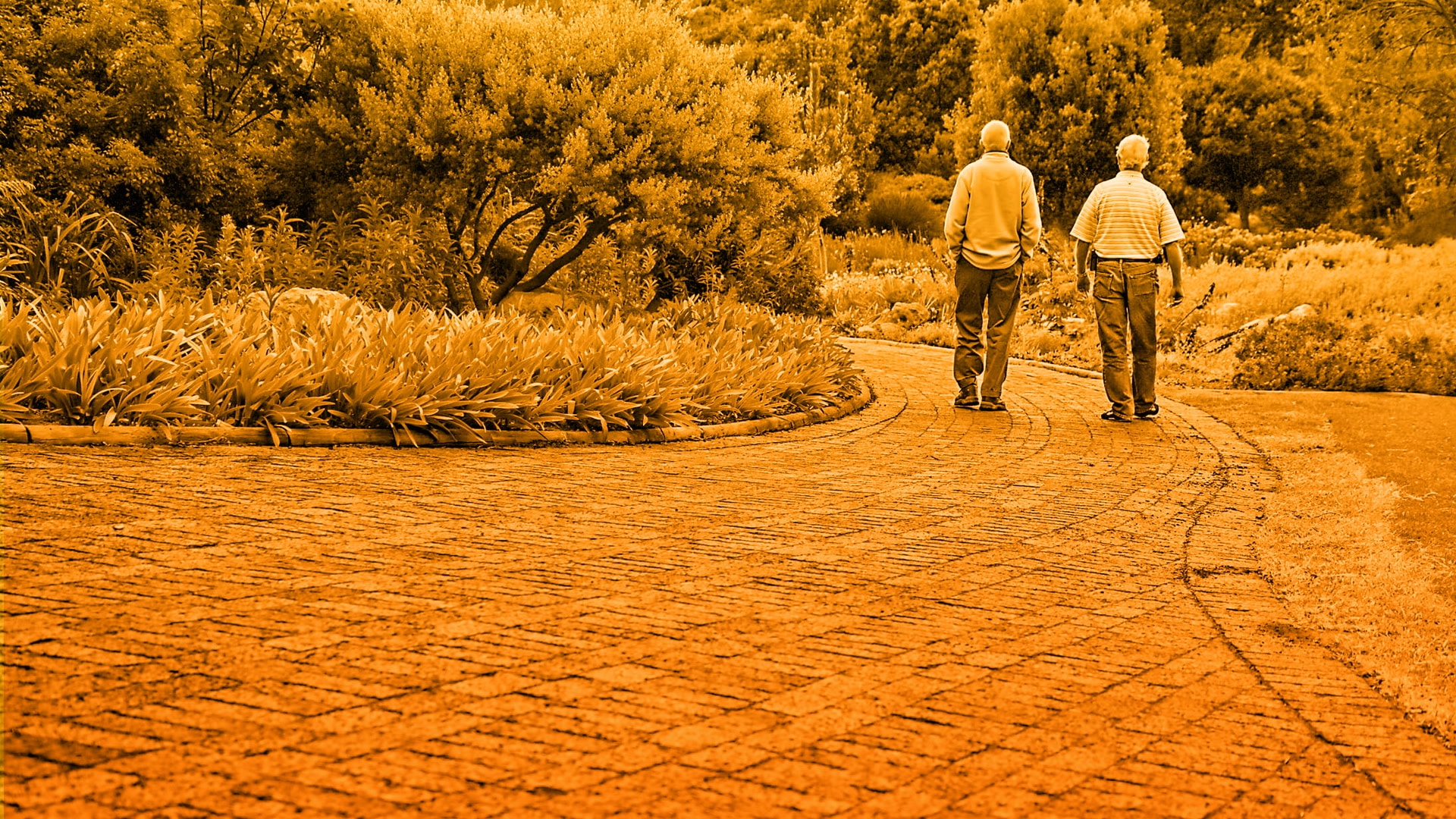 Estudio de remediación cognitiva para mejorar la movilidad en adultos mayores