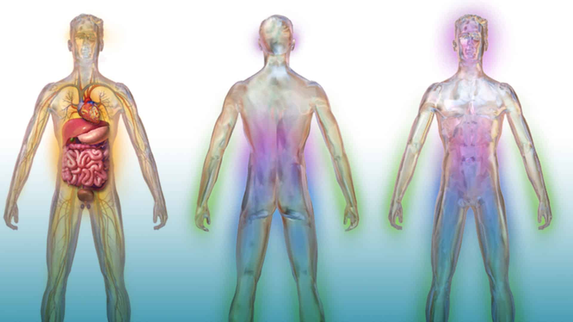 Neuropatía diabética