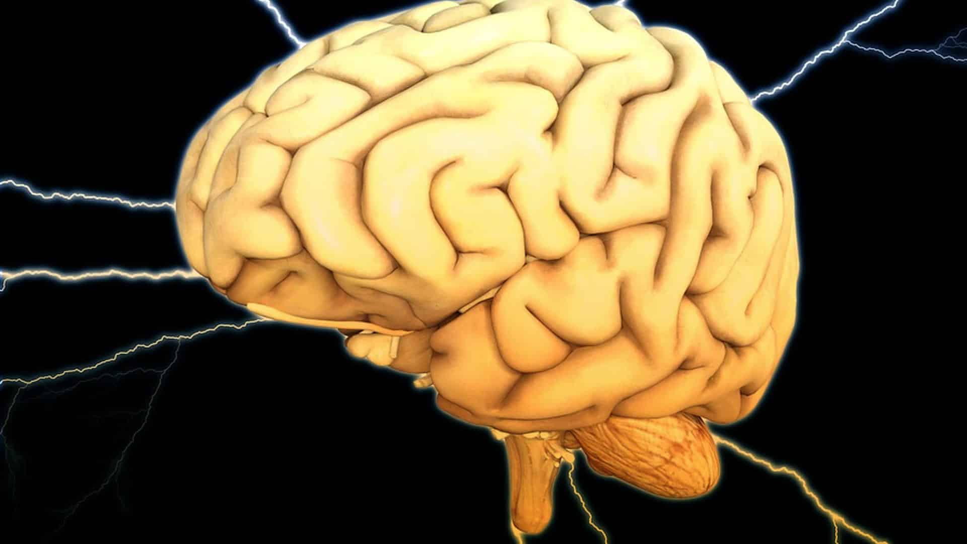 Procedimiento convergente para detener las señales anormales de la fibrilación auricular al cerebro