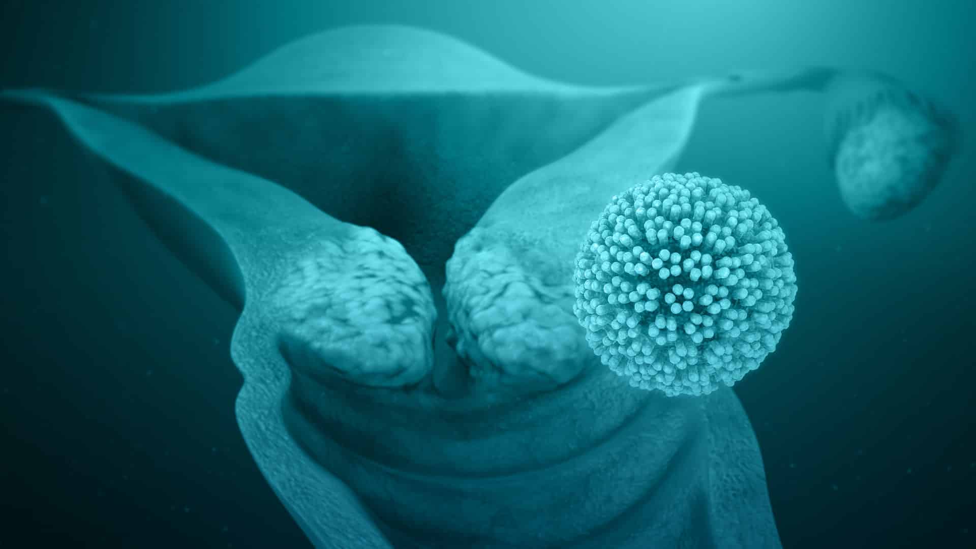 CheckMate 650 para detener la propagación de cáncer en el cuerpo