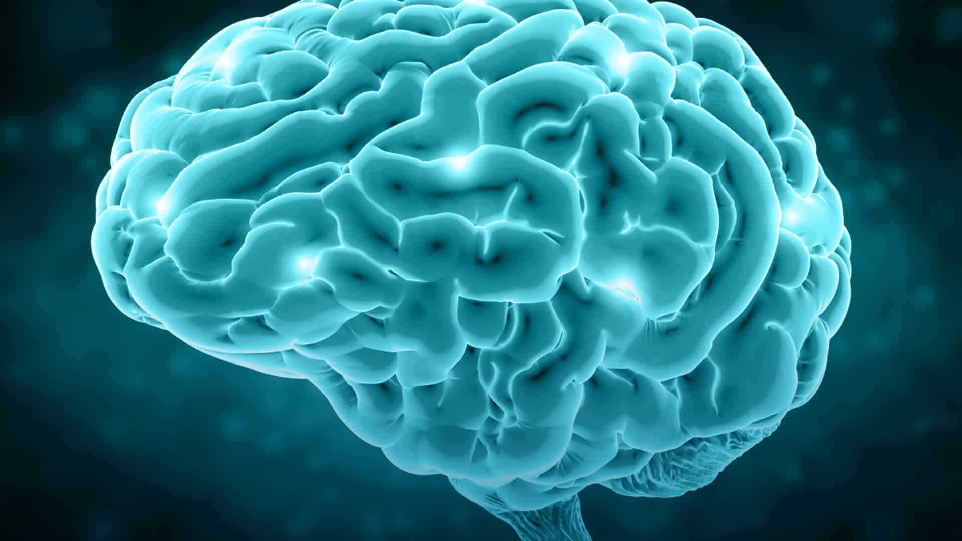 Prueba de fase 0 para saber que medicamentos funcionan contra el tumor cerebral de glioblastoma