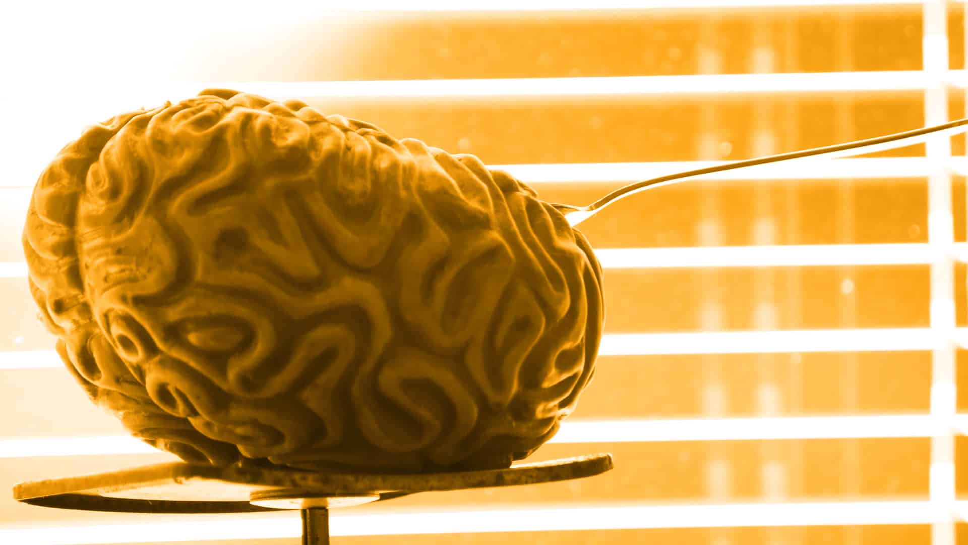 Dispositivo de redes para prolongar la vida de pacientes con glioblastoma