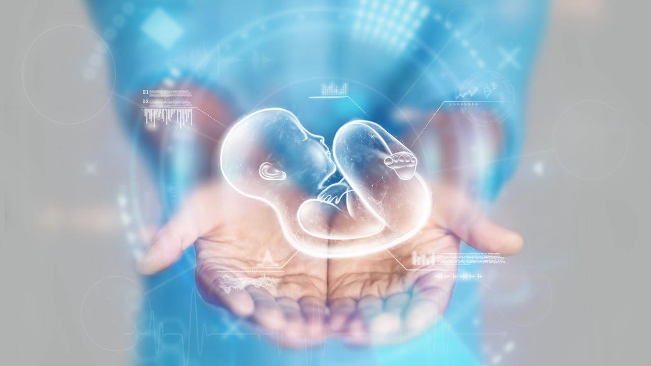 ¿Se pueden transmitir a la descendencia las experiencias traumáticas?