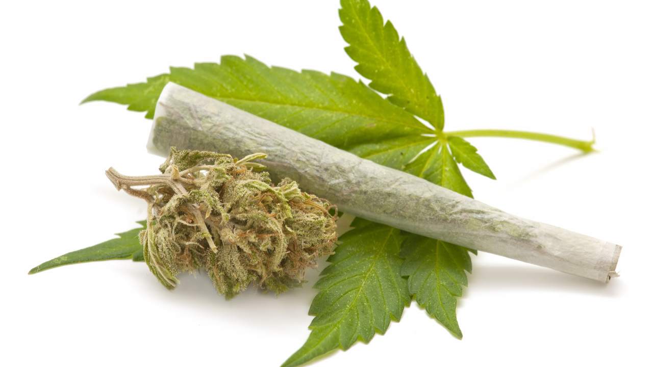 No es lo mismo fumar marihuana que usar algunos de sus componentes