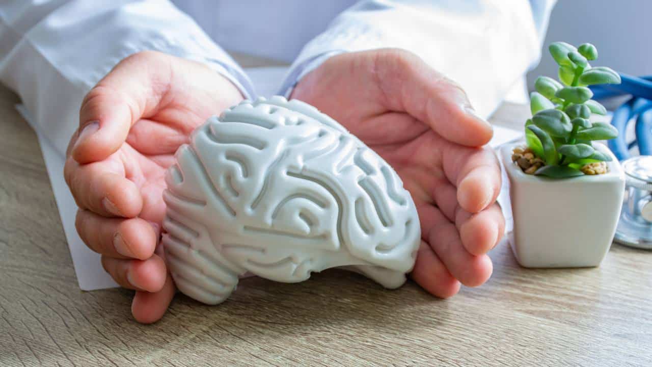 ¿Sabes para qué sirve la barrera hematoencefálica?