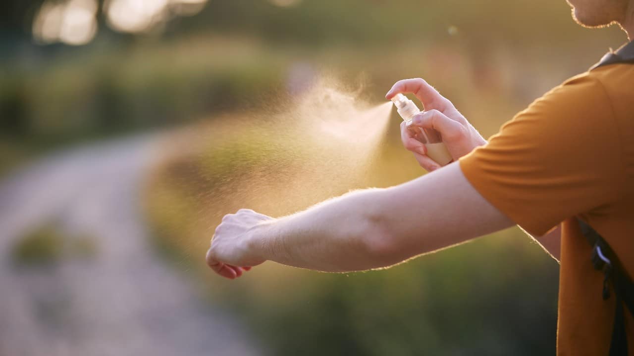 ¿Cómo se transmite el dengue?