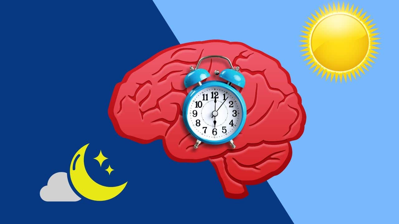 ¿Quieres prevenir el envejecimiento? ¡Te decimos la clave!