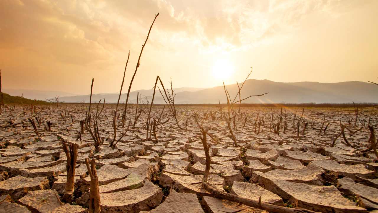 ¡Calor histórico! Verano 2023: el más cálido en 2 mil años