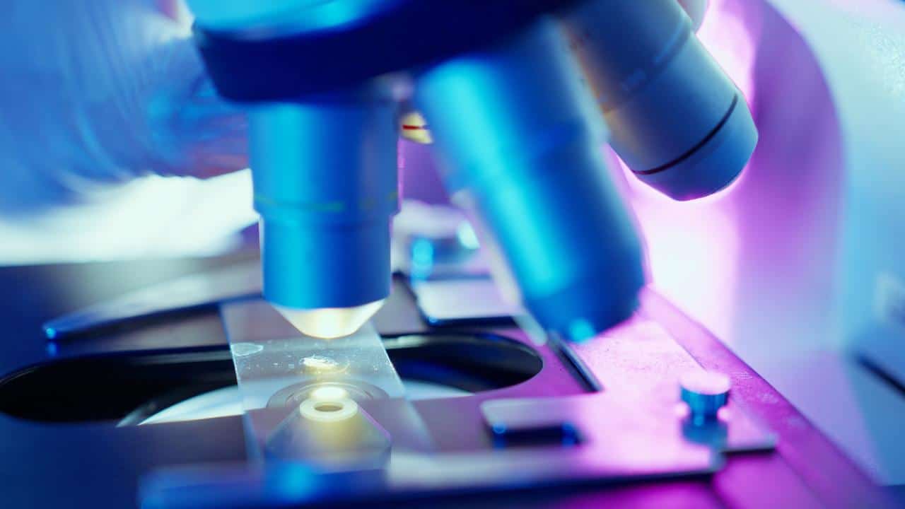 Gráfico sobre el impacto del entorno en la salud y el envejecimiento.