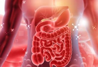 El sistema digestivo: La clave invisible para una salud total