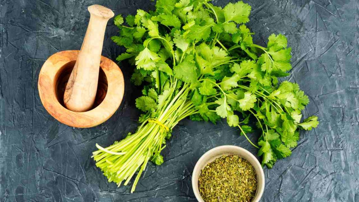 por qué algunas personas odian el cilantro