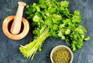 por qué algunas personas odian el cilantro