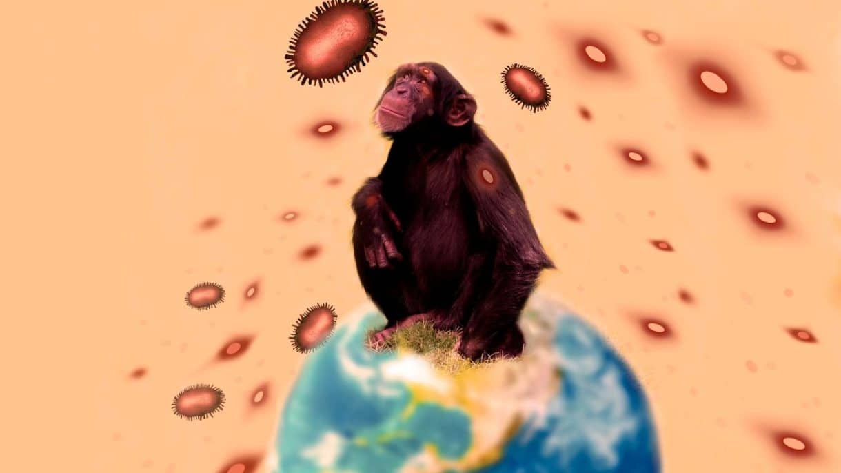 Transmisión de enfermedades zoonóticas de animales a humanos