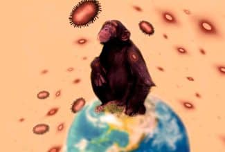 Transmisión de enfermedades zoonóticas de animales a humanos